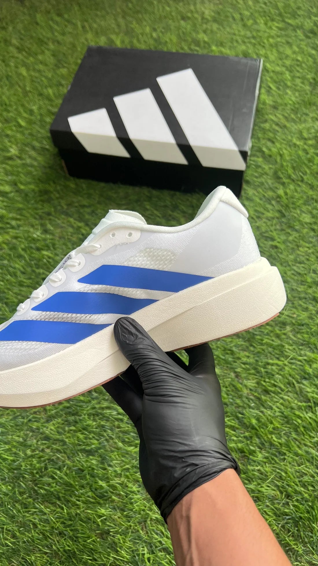 Adizero Evo SL "White Royal Blue"